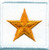 General (1 Star), Embroidered Rank, Pair, Dark Gold/White, 1-1/2x1-1/2"