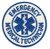 2 Pack - EMERGENCY MEDICAL SERVICES Shoulder Patch, Reflective, Reflective, 3-1/2" Circle