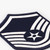 U.S. Air Force Chevrons