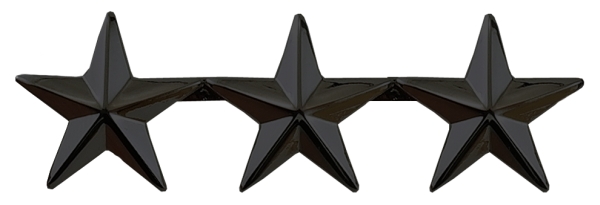 3 Stars, 2 Posts & Clutch Backs, Pairs, 1" High-Hero‘s Pride