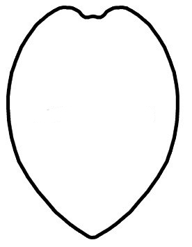 ID Cases