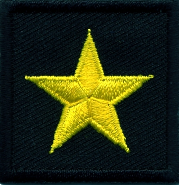 Service Stripes / Bars