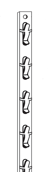 2-DDMS - 12-Position loose piece display strip - 100 / pack