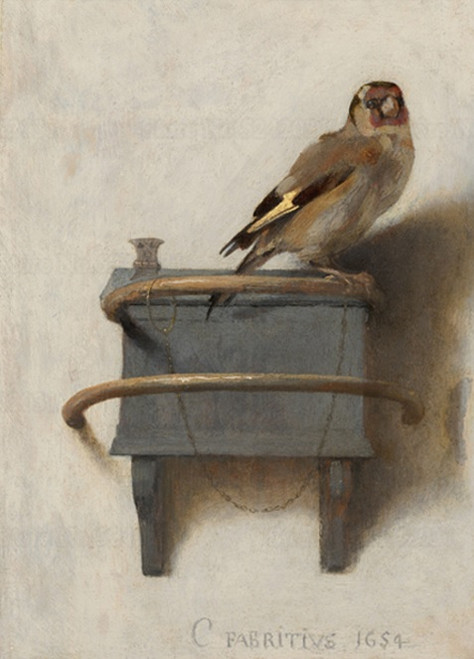 Goldfinch