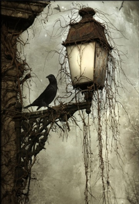 Crow Lamp