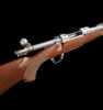 Ruger M77 Hawkeye .22-250 - Action