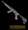 Ruger 10/22 Takedown SBR .22LR - Left Side