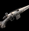 Ruger American Gen II Prairie. 22 ARC - Action