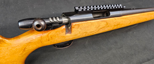 Remington 788 22-250 - Action