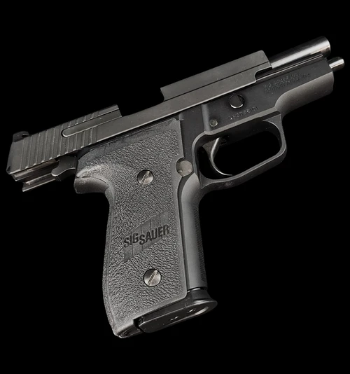 Sig Sauer P229 M11-A1 9MM - Action