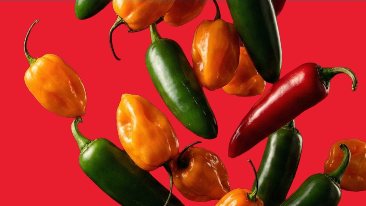 Yancey's Fancy Spicy & Bold artisan cheddar wedges infused with ghost peppers and habaneros.