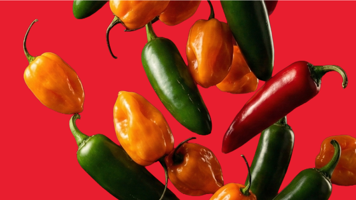 Yancey's Fancy Spicy & Bold artisan cheddar — ghost pepper, habanero, and hot flavored cheeses