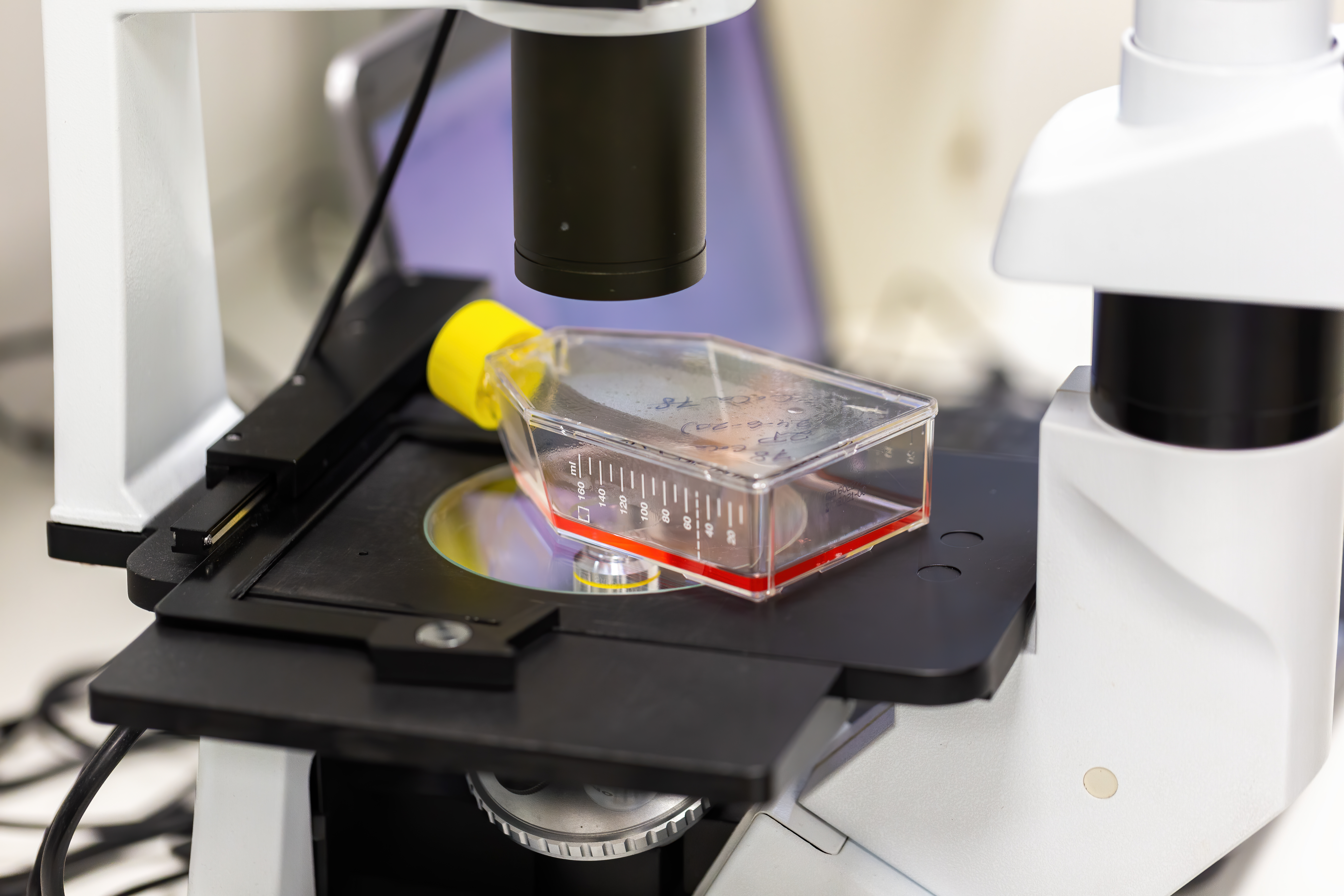 experimental-assessment-of-a-red-liquid-inside-tes-6p5zrul.jpg