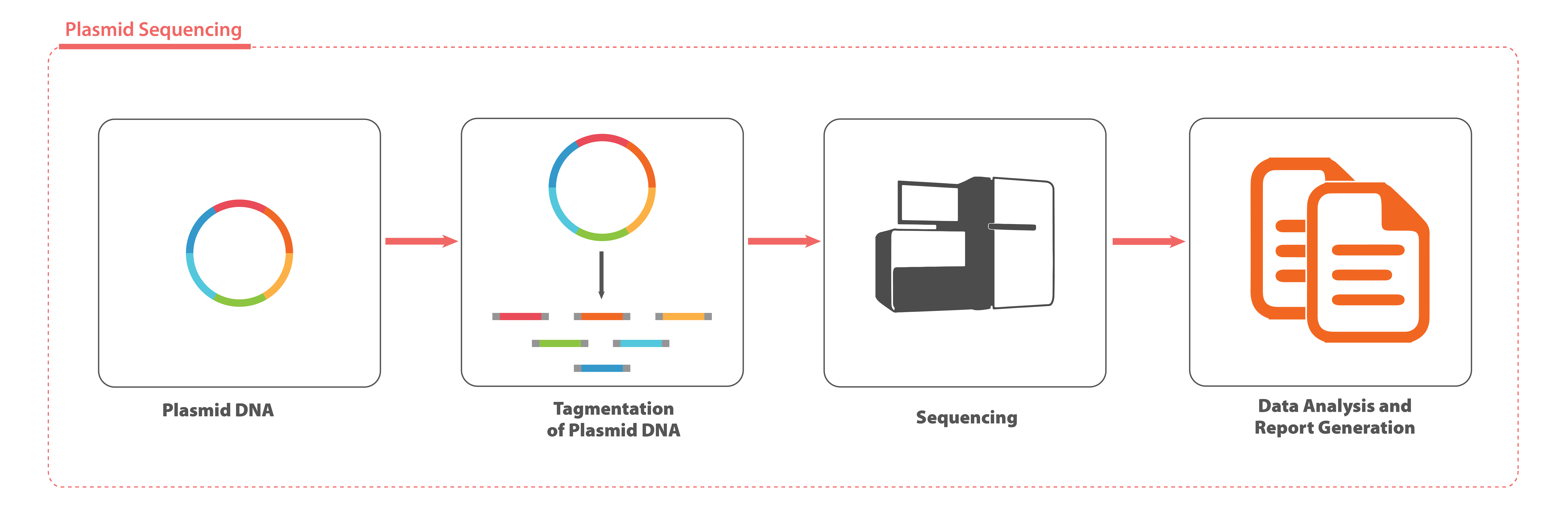 plasmid-sequencing-service.png