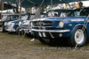 650470 -The Neptune Racing Team -  Norm Beechey, Ford Mustang, Jim McKeown, Cortina & Peter Manton Morris Cooper S  - 1965 - Photographer Bruce Wells