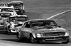 74008  -  Allan Moffat  -  Brutt Mustang  Oran Park  1974