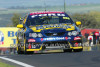 Bathurst 1000, 2004 -  Photographer Marshall Cass - Code 04-MC-B04-483
