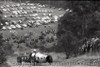 Templestowe HillClimb 1959 - Photographer Peter D'Abbs - Code 599339