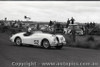 All of 1958 Fishermans Bend - Photographer Peter D'Abbs - Code FB1958-59