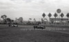 Calder 1965 - Photographer Peter D'Abbs - Code 65-PD-C29865-033