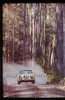 Southern Cross Rally 1978 - Code -78-T-SCross-034
