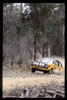 Bega Rally 1980 - Code -80-T-Bega- 001