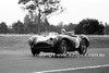 64086 - Ron Thorp, Aston Martin  - Warwick Farm 1964 - Photographer Lance J Ruting
