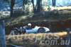 62014 - Bruce Walton - Cooper - Australian Hillclimb Championships, Silverdale 1962 - Photographer Peter Wilson