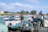 63061 - Jack Brabham's Brabham BT7A on the transporter. - Sandown 1963 - Barry Kirkpatrick Collection