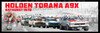 1181 - Holden Torana A9X - Bathurst 1978 -  A Panoramic Photo 30x10 inches.