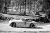 62453 - W. Sorenson  Austin Healey Sprite - Templestowe Hill Climb 1962 - Photographer Peter D'Abbs