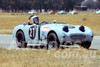 72590 - Austin Healey Sprite, Winton 1972 -