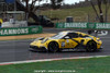 26BA02JS5044 - Matt Campbell, Alessio Picariello & Bastian Buus, Porsche 911 GT3R - Meguiar's Bathurst 12 Hour, Mount Panorama, Bathurst, New South Wales, 2026 - Photographer James Smith