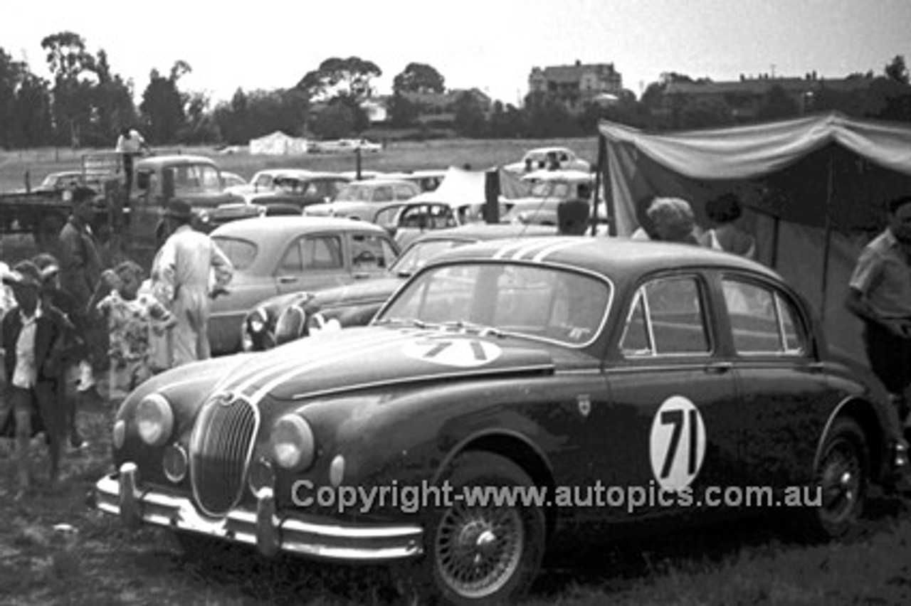 60017 - D. McKay, Jaguar - Gnoo Blas 1960