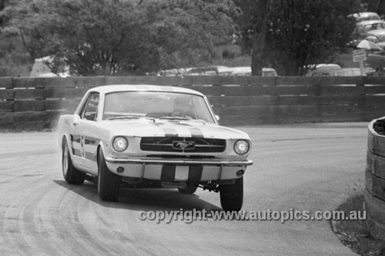 65111 - Ian Geoghegan, Ford Mustang  - Catalina Park Katoomba 1965- Photographer Bruce Wells