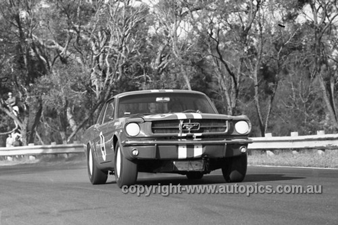 65113 - Norm Beechey, Ford Mustang  - Warwick Farm 1965- Photographer Bruce Wells