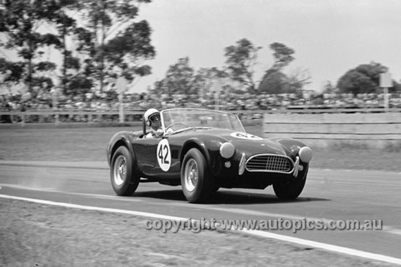 65484 - Ron Thorp, AC Cobra V8 - Warwick Farm 1965 - Photographer  Bruce Wells