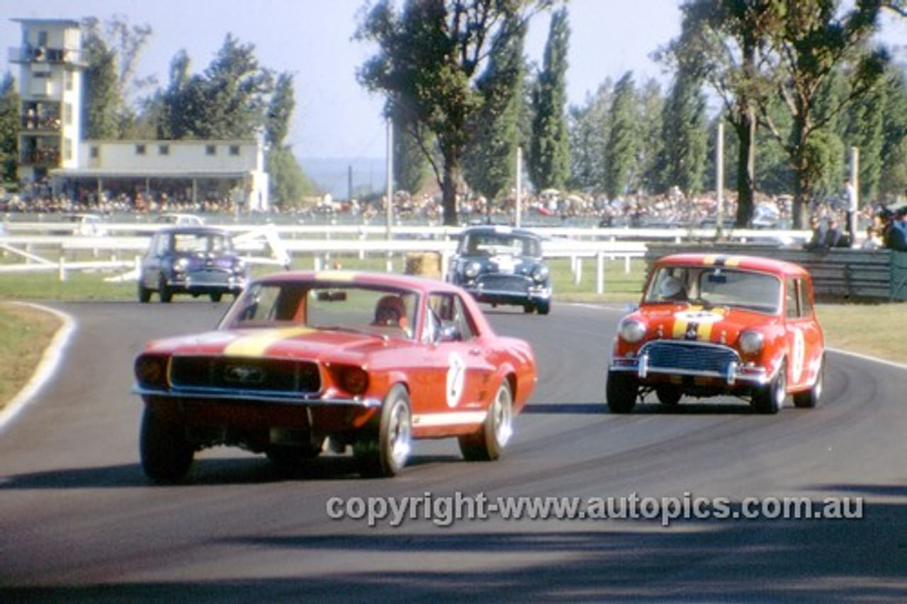 68246 - Bob Jane Mustang & Brian Foley Morris Cooper S - Warwick Farm 1968 - Photographer David Blanch