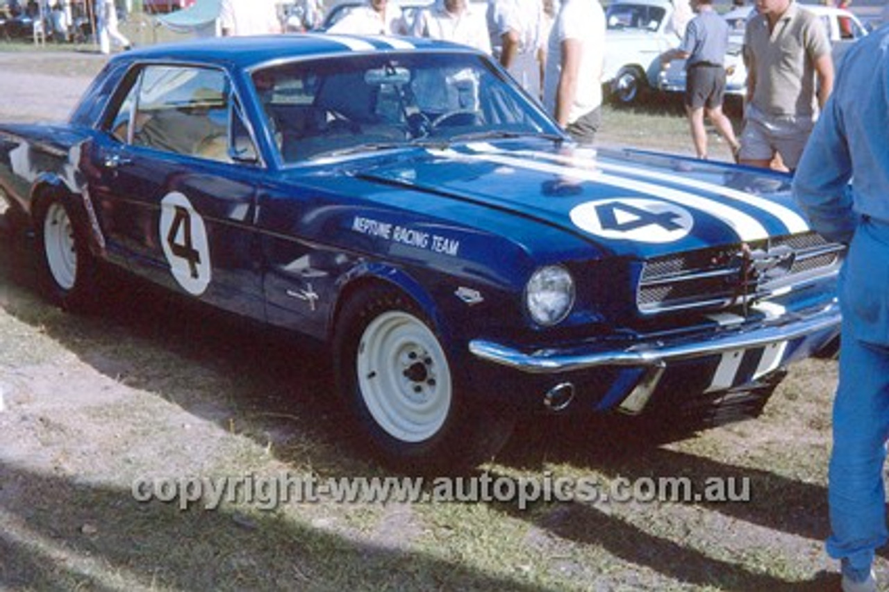 64117 - Norm Beechey, Ford Mustang - Lakeside 1964