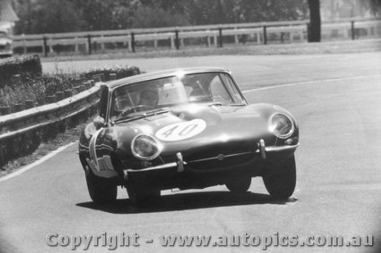 64401  -  Niel Allen  -  Jaguar E Type - Warwick Farm 1964 - Photographer Lance Ruting