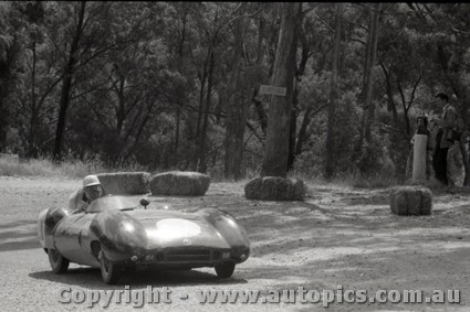 Hepburn Springs Hill Climb 1959 - Photographer Peter D'Abbs - Code 599044