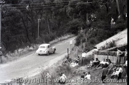 Hepburn Springs Hill Climb 1959 - Photographer Peter D'Abbs - Code 599060