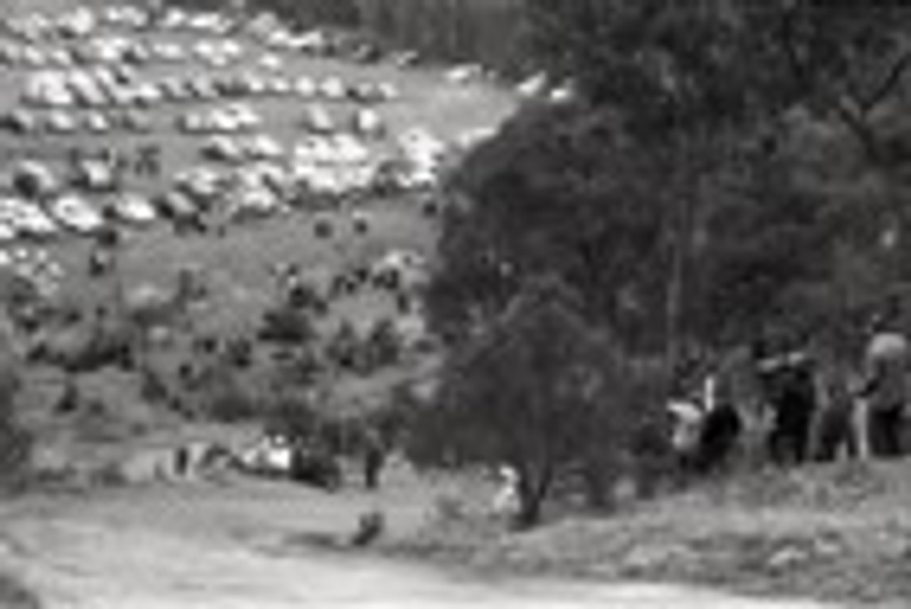 Templestowe HillClimb 1959 - Photographer Peter D'Abbs - Code 599338