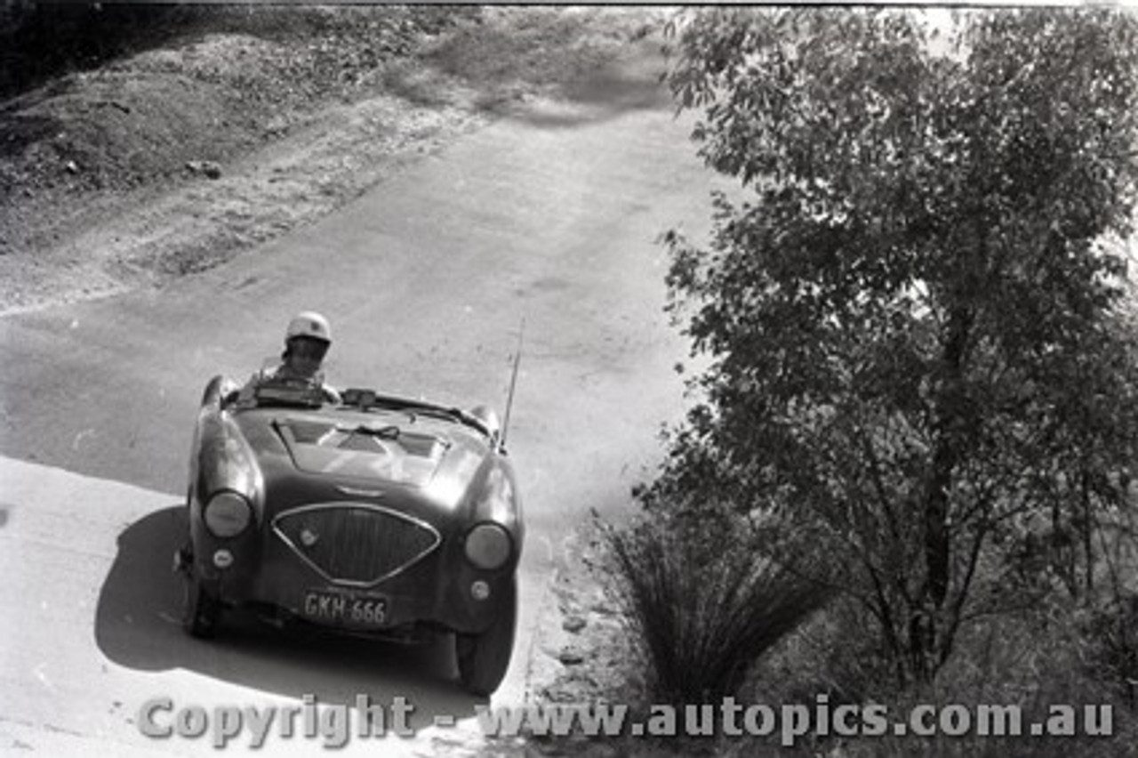 Templestowe HillClimb 1959 - Photographer Peter D'Abbs - Code 599459