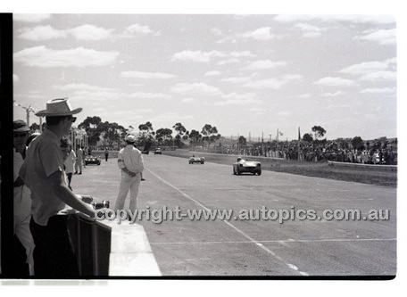 Calder 1965 - Photographer Peter D'Abbs - Code 65-PD-C-609