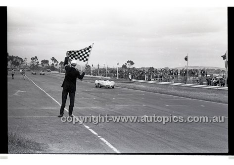 Calder 1965 - Photographer Peter D'Abbs - Code 65-PD-C-656