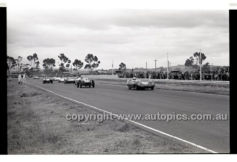 Calder 1965 - Photographer Peter D'Abbs - Code 65-PD-C-671