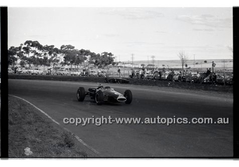 Calder 1965 - Photographer Peter D'Abbs - Code 65-PD-C-729