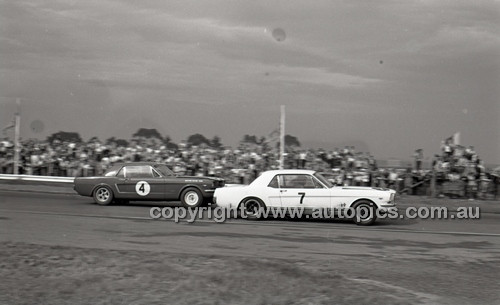 Calder 1965 - Photographer Peter D'Abbs - Code 65-PD-C29865-052