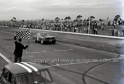 Calder 1965 - Photographer Peter D'Abbs - Code 65-PD-C29865-060